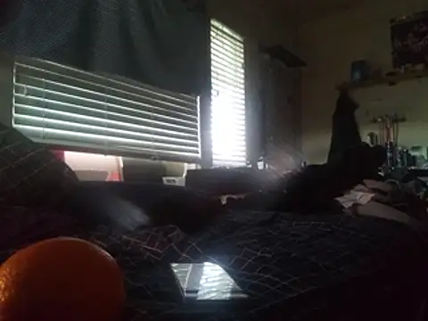 Snapshot of DevinToore chatting on 02.24.26 DevinToore online show from 02.24.26