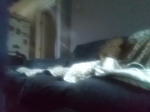 Snapshot of DevinToore chatting on 03.03.26 DevinToore online show from 03.03.26