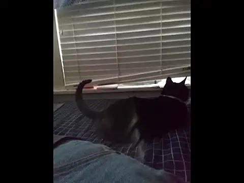 Snapshot of DevinToore chatting on 03.20.26 DevinToore online show from 03.20.26