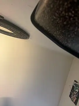 Snapshot of PEGATIVET chatting on 02.26.26 PEGATIVET online show from 02.26.26