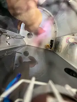 lescro95  online show from 04.06.26