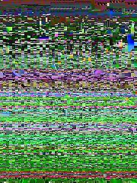 desiduzz21 online show from 02.22.25