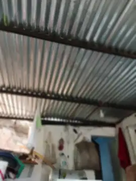 elputoflaco online show from 03.24.26