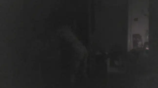 Snapshot of Just_Gabriella chatting on 03.17.25 Just Gabriella online show from 03.17.25