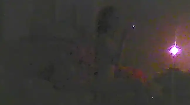 Snapshot of Just_Gabriella chatting on 03.19.25 Just Gabriella online show from 03.19.25