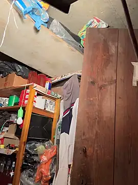 Lecatore80 online show from 10.25.25