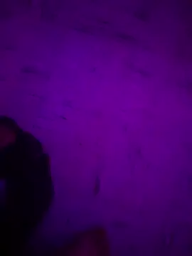 Argento14 online show from 11.03.25