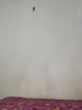 Snapshot of Nicole_cute1 chatting on 11.30.25 Nicole cute1 online show from 11.30.25