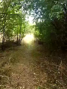 nataliecdlive online show from 09.13.25