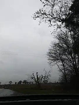 nataliecdlive online show from 11.22.25