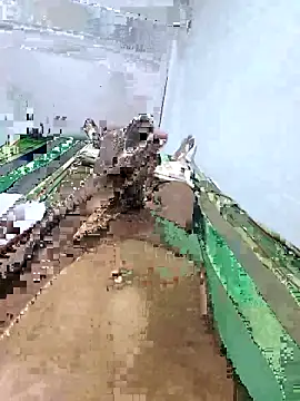 Snapshot of Pathirajasenerath chatting on 10.23.25 Pathirajasenerath online show from 10.23.25