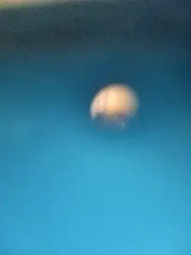 Snapshot of Sonya5156 chatting on 02.15.25 Sonya5156 online show from 02.15.25