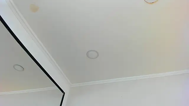 Loggan donnelly online show from 03.10.25