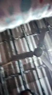 Hotty-dola online show from 01.04.25