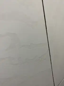 Snapshot of picatorta19 chatting on 12.17.25 picatorta19 online show from 12.17.25