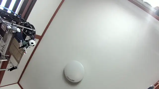 tuki fu online show from 12.08.24