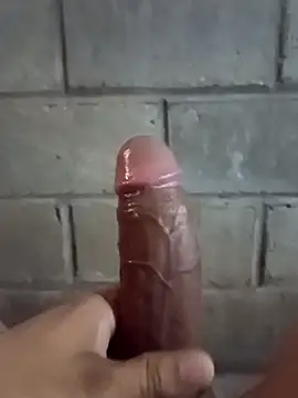 Snapshot of ga213333 chatting on 11.20.25 ga213333 online show from 11.20.25