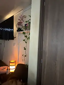 MOMALANA online show from 07.04.26