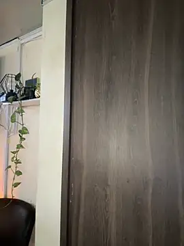 MOMALANA online show from 07.30.26