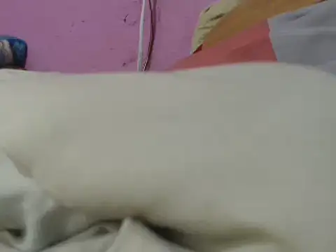 Cheliafun online show from 06.29.26