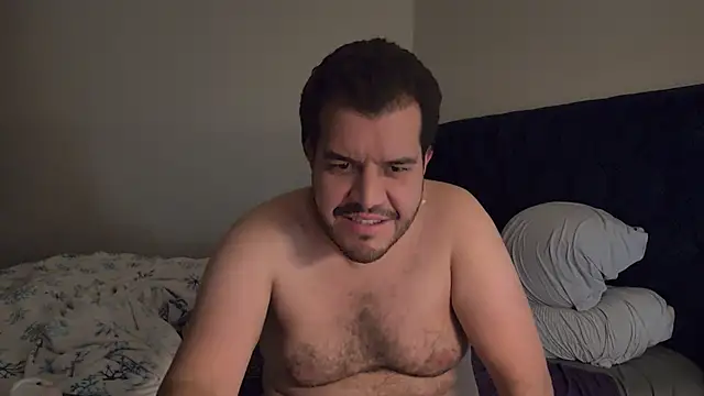 bearcloudcomputa online show from 12.06.24