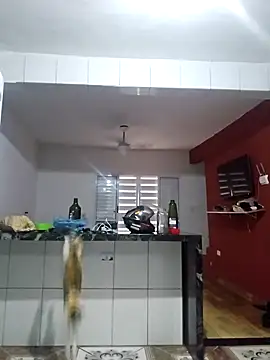 VibratedPoaching online show from 03.19.26