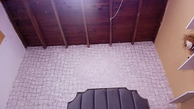 luce williams online show from 02.25.25