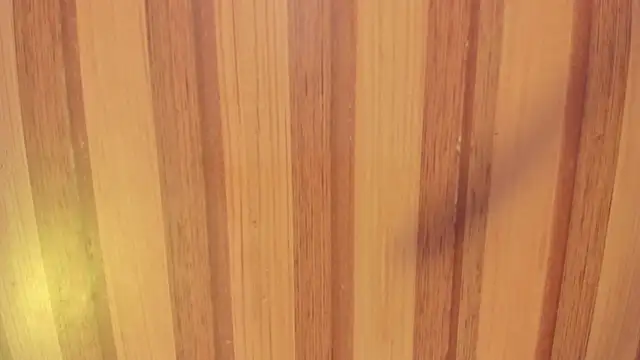 Taylor  cooper online show from 11.15.25