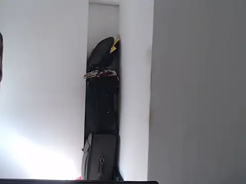 Mastertopdome online show from 02.11.26