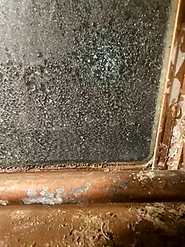 Snapshot of alienbunny chatting on 01.11.25 alienbunny online show from 01.11.25