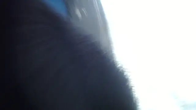 esjrobles online show from 07.31.26