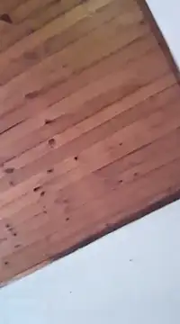 DANIELA MICHEL online show from 01.19.25