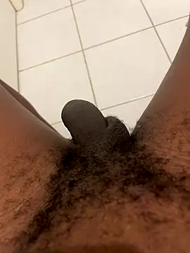 Snapshot of arrete2025 chatting on 11.12.25 arrete2025 online show from 11.12.25