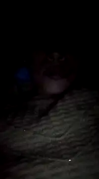 maftel online show from 02.19.25