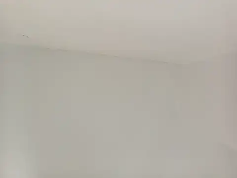 paladerler online show from 03.25.26