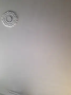 dragon1006 online show from 11.22.25