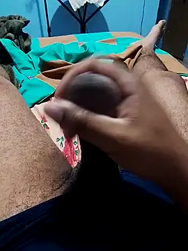 Jornaodaputaria online show from 02.12.25