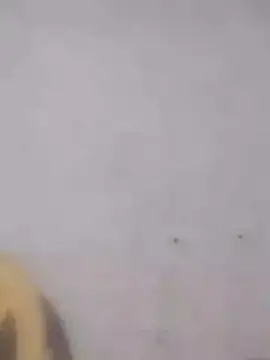 Snapshot of Ramya-Lovely chatting on 12.01.24 Ramya-Lovely online show from 12.01.24