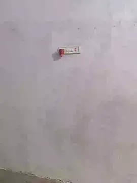 Snapshot of Ramya-Lovely chatting on 12.05.24 Ramya-Lovely online show from 12.05.24