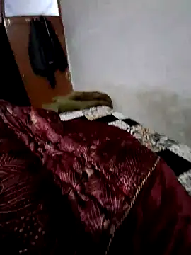 Snapshot of menakshiiikaur chatting on 12.13.24 menakshiiikaur online show from 12.13.24