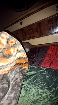 Snapshot of menakshiiikaur chatting on 03.11.25 menakshiiikaur online show from 03.11.25