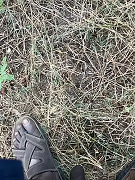 tamil000000 online show from 03.11.25