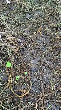 tamil000000 online show from 03.16.25