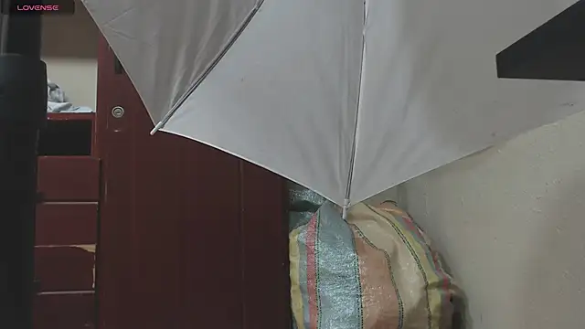 Snapshot of DIANATSS chatting on 02.08.25 DIANATSS online show from 02.08.25