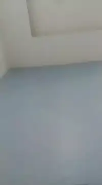 Dexiboy online show from 01.07.25