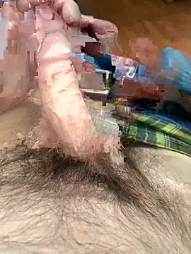 Snapshot of willcumforu chatting on 12.26.24 willcumforu online show from 12.26.24