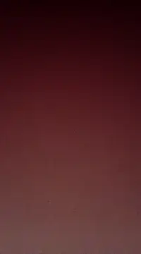 Snapshot of Sexy-Mona2 chatting on 12.13.24 Sexy-Mona2 online show from 12.13.24