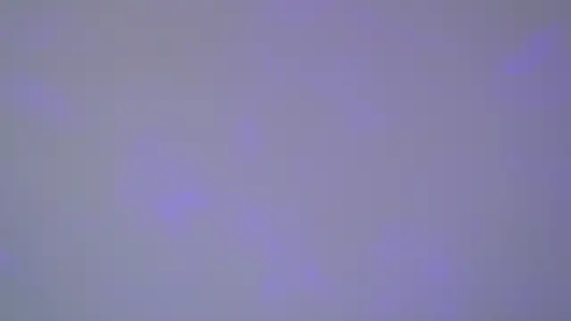 Snapshot of SelinSwarovski chatting on 11.01.25 SelinSwarovski online show from 11.01.25