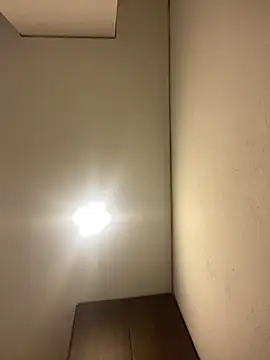 girl anni online show from 10.25.25