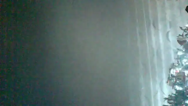 Snapshot of HardWolf2024 chatting on 12.24.24 HardWolf2024 online show from 12.24.24